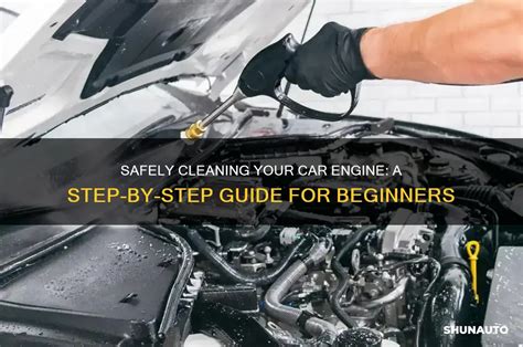 How to Clean a Car Engine Safely / STEP BY STEP GUIDE - balustradellc
