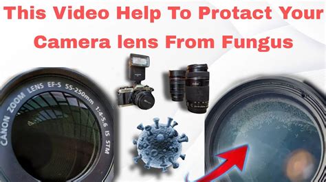 How to Clean and Prevent Fungus on Your Camera … - balustradellc