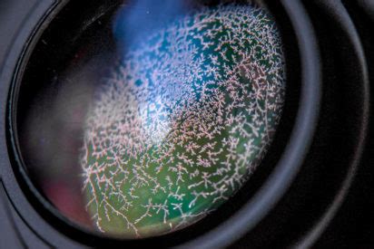 How to Clean and Prevent Fungus on Your Camera Lens - balustradellc