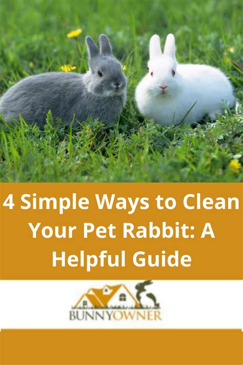 How to Clean and Skin a Rabbit: A St... | Indoor Rabbit … - balustradellc