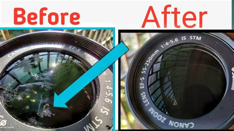How To Clean Camera Lens Fungus - - balustradellc