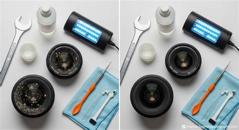 How to Clean Lens Fungus (March 2026) Step-by-Step - balustradellc