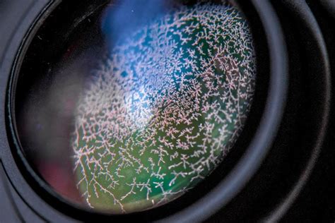 How to Clean Mold and Fungus from a Camera Lens - balustradellc