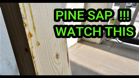 How To Clean Sap Off Woodworking Tools | Woodwork Center - balustradellc