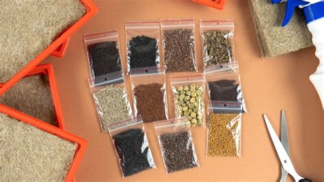 How to Collect and Store Seeds - Lady Bird Johnson Wildflower Center - raincitystudios.com