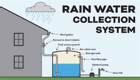 How To Collect And Use Rain Water - Simple Garden Life - balustradellc