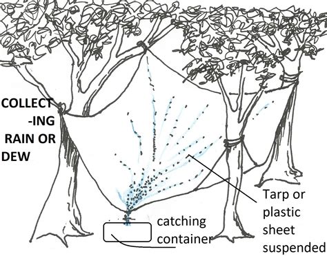 How to Collect Dew - balustradellc