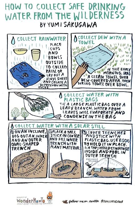 How to Collect Dew for Drinking Water in Survival … - balustradellc