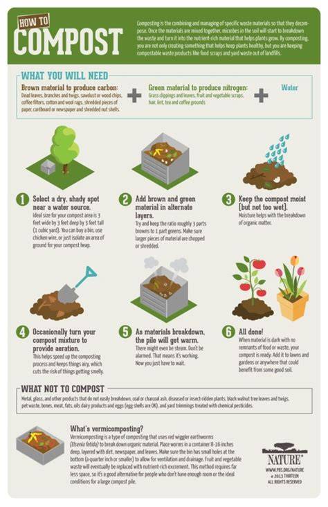 How to Compost: A Step-by-Step Guide - Growing In … - raincitystudios.com