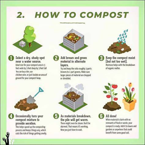 How to Compost at Home: Basic Steps and Types of … - raincitystudios.com