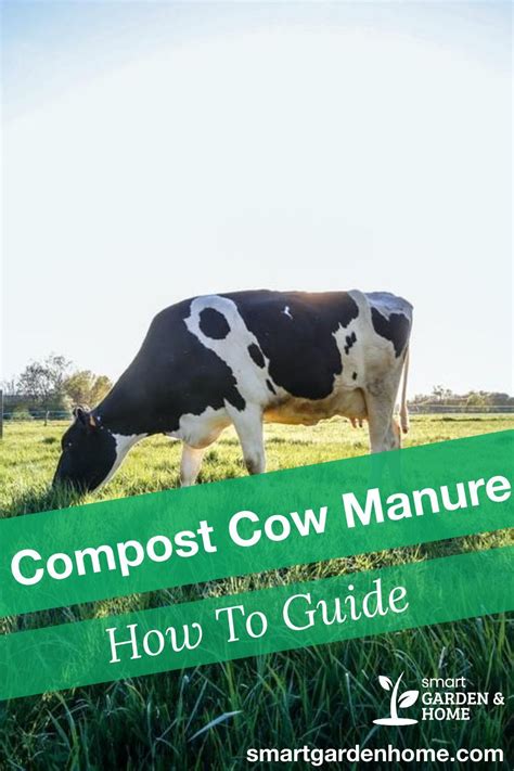How to Compost Cow Manure for Garden: Proven Techniques for Rich ... - raincitystudios.com