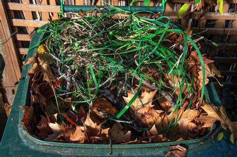 How to Compost Leaves for Nutrient Rich Soil Next Year - raincitystudios.com