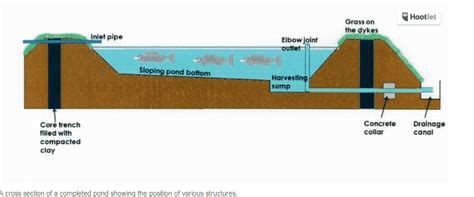How to Construct a Semi-intensive Pond for … - raincitystudios.com