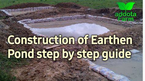 How to Construct an Earthen Pond step by step guide /how to - raincitystudios.com