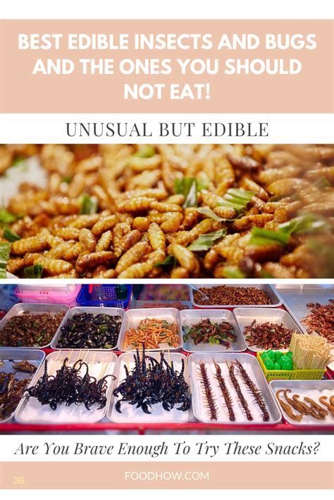 How To Cook Edible Insects - balustradellc