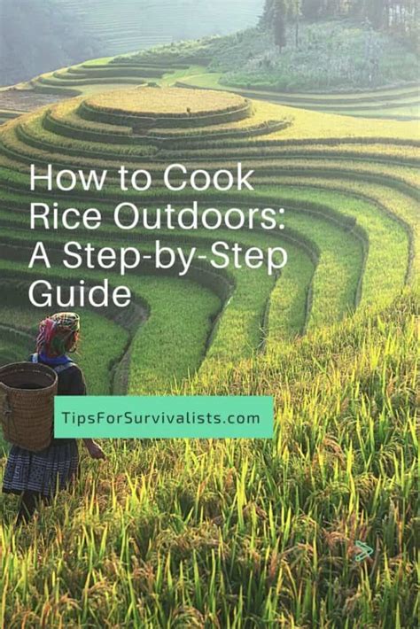 How to Cook Rice Outdoors: A Step-by-Step Guide - balustradellc