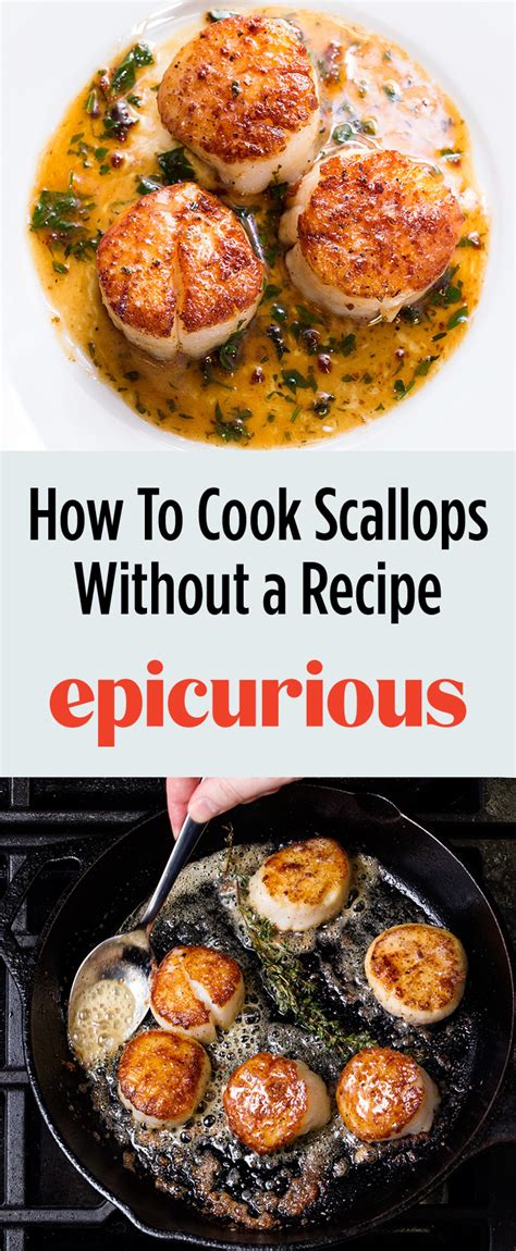 How to Cook Scallops for a Restaurant-Worthy Dinner - balustradellc
