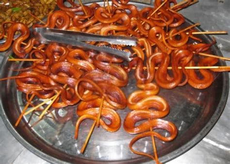 How to cook snake meat | NEURALWORD - balustradellc