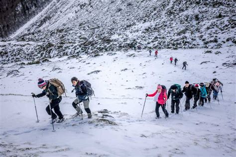 How to Cope with Various Terrain | Camotrek … - balustradellc