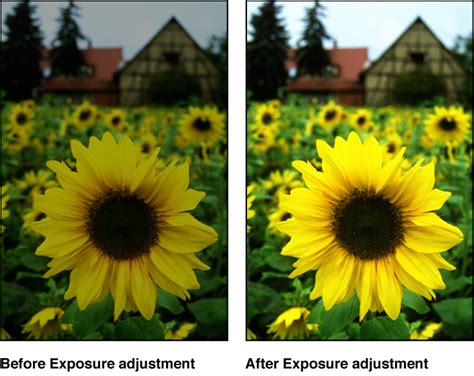 How to Correct Exposure Using Highlight and Shadow Adjustments - balustradellc