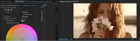 How to Correct White Balance in Adobe Premiere Pro - balustradellc