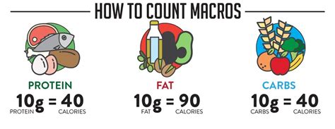 How To Count Your Macros • 50+ reels on Instagram - balustradellc