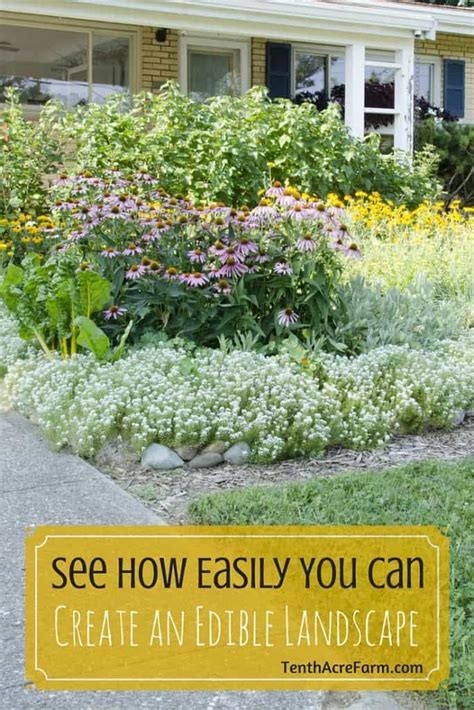 How to Create a Beautiful, Edible Landscape - Treehugger - raincitystudios.com