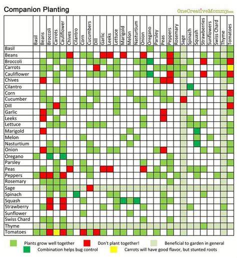 How to Create a Companion Planting Chart - Live to Plant - raincitystudios.com