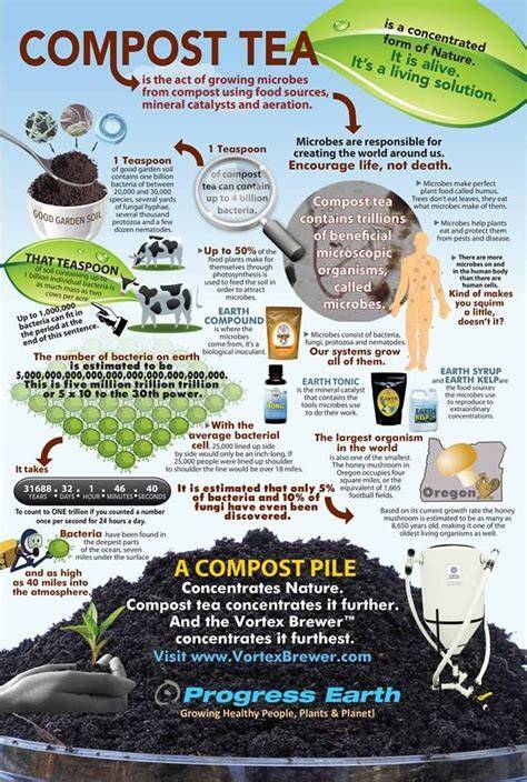 How to Create a Compost Tea for Fertilizing Plants - raincitystudios.com