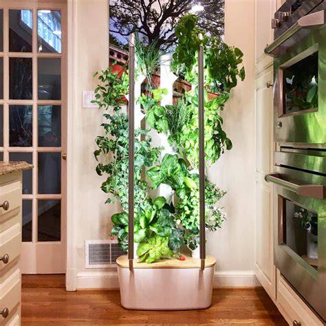 How to Create a DIY Aeroponic Tower Garden | Live to Plant - raincitystudios.com
