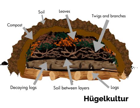 How to Create a Hügelkultur Garden - Better Homes - raincitystudios.com