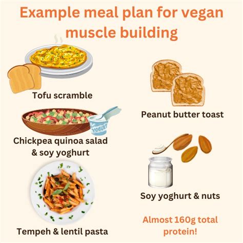 How to Create a Muscle Building Vegetarian Meal Prep - balustradellc