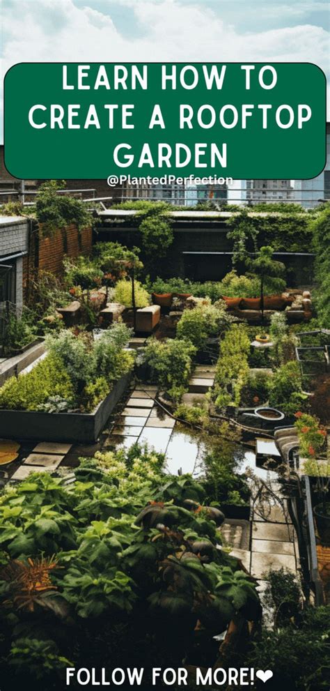 How to Create a Rooftop Garden (with Pictures) - raincitystudios.com