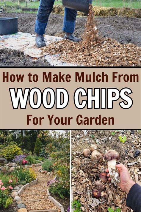 How to Create DIY Garden Mulch Using a Wood Chipper - raincitystudios.com