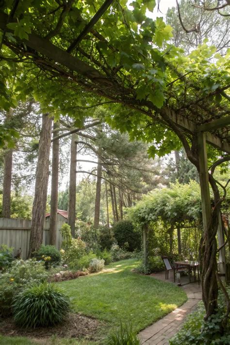 How to Create Lush Shade with a Natural Plant Canopy - raincitystudios.com