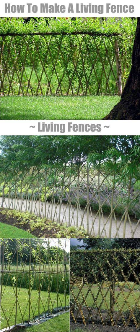 How to Create Your Own Living Fence - Happy DIY Home - raincitystudios.com