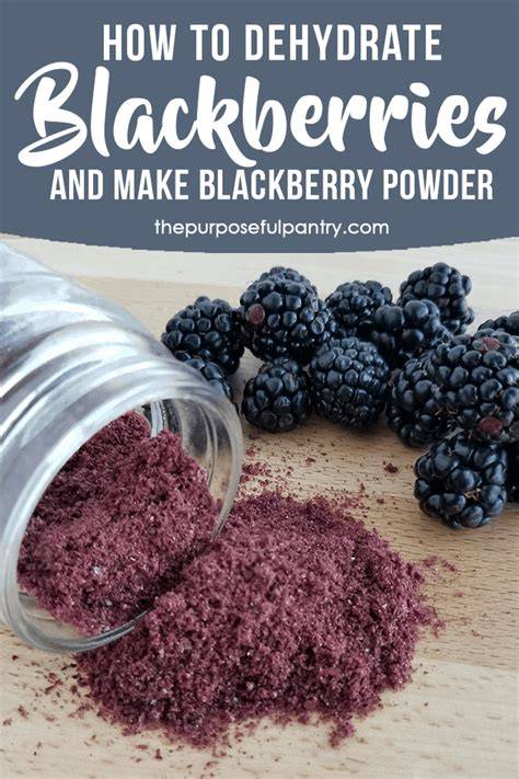 How to Dehydrate Blackberries & Make Blackberry … - raincitystudios.com