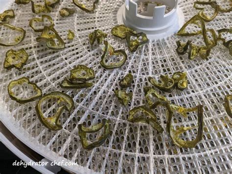 How to Dehydrate Jalapeno Peppers - The Purposeful Pantry - raincitystudios.com