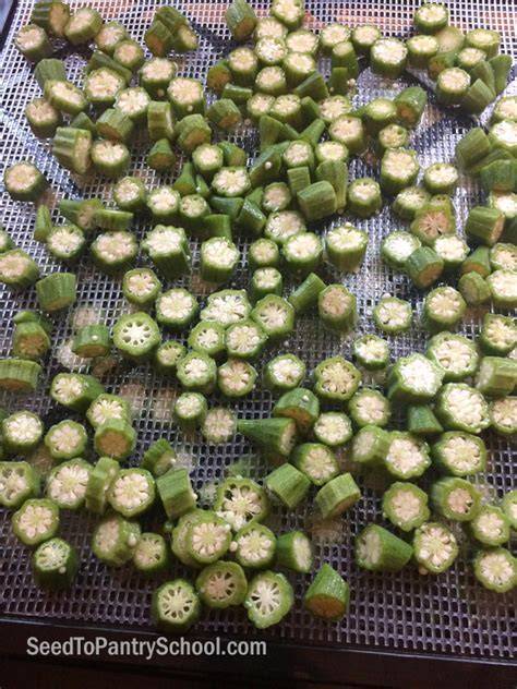 How To Dehydrate Okra - Seed To Pantry School - raincitystudios.com