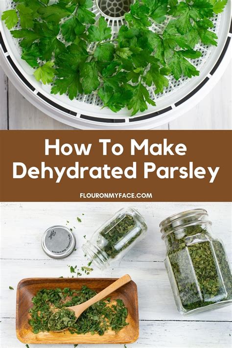How to Dehydrate Parsley - The Purposeful Pantry - raincitystudios.com