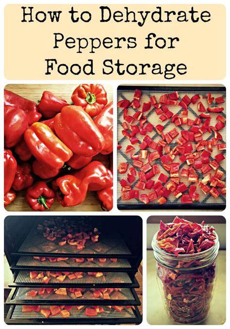 How to Dehydrate Peppers for Food Storage - Grow Forage Cook Ferment - raincitystudios.com