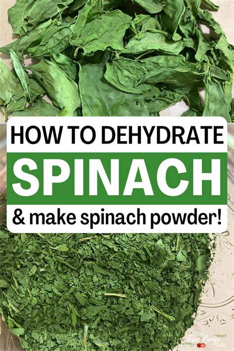How to Dehydrate Spinach (& Make Spinach Powder!) - raincitystudios.com