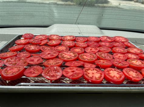 How to Dehydrate Tomatoes - Fresh Off The Grid - raincitystudios.com