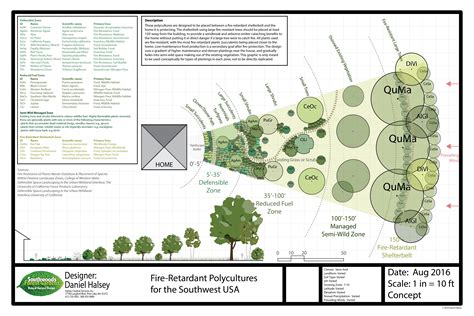 How to Design a Food Forest: A Step-by-Step Guide - raincitystudios.com