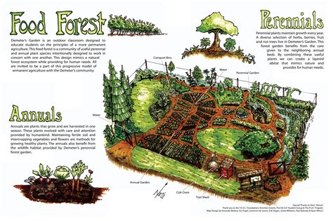 How To Design a Food Forest aka Forest Garden - Bite … - raincitystudios.com