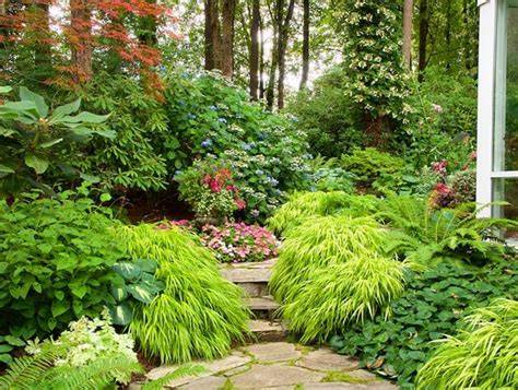 How to Design a Shade Garden for Low Light Areas - raincitystudios.com