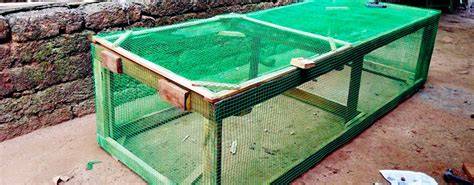 How to Design the Best Chicken Coops With Free Range Nets - raincitystudios.com