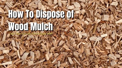 How to Dispose of Wood Mulch (Natural & Dyed) - The … - raincitystudios.com