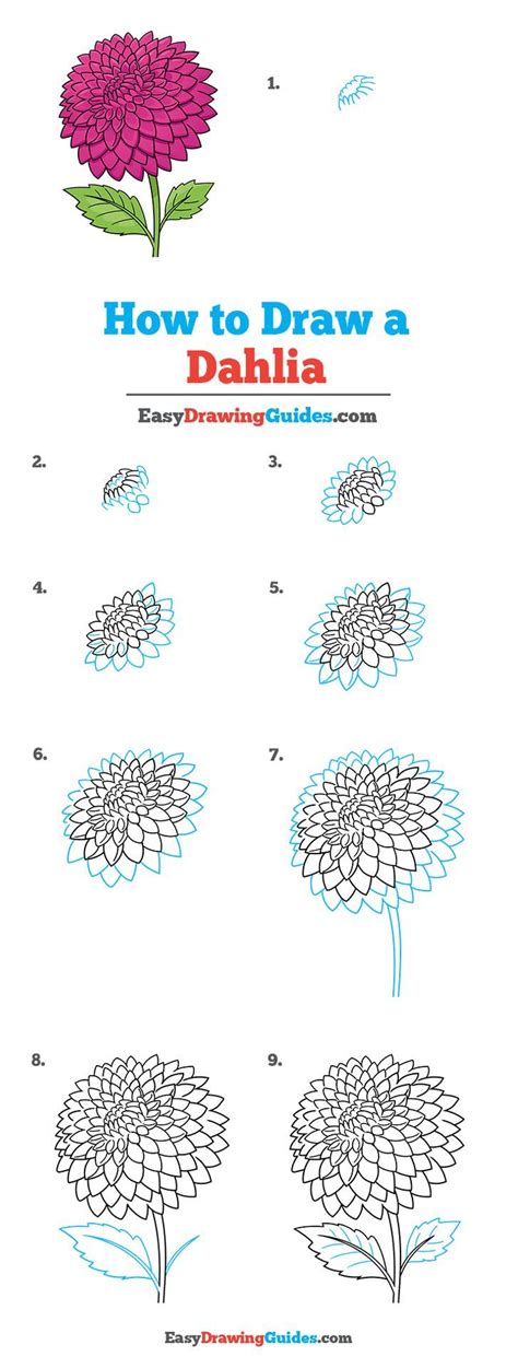 HOW TO DRAW A DAHLIA FLOWER StepByStep Tutorial (with free