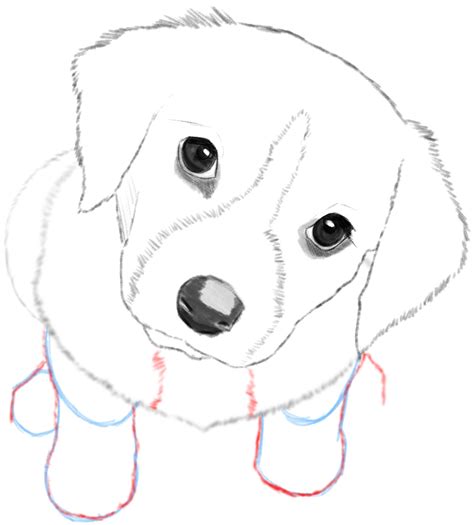 HOW TO DRAW A DOG! Realistic Drawing Tutorial Step by Step Drawing